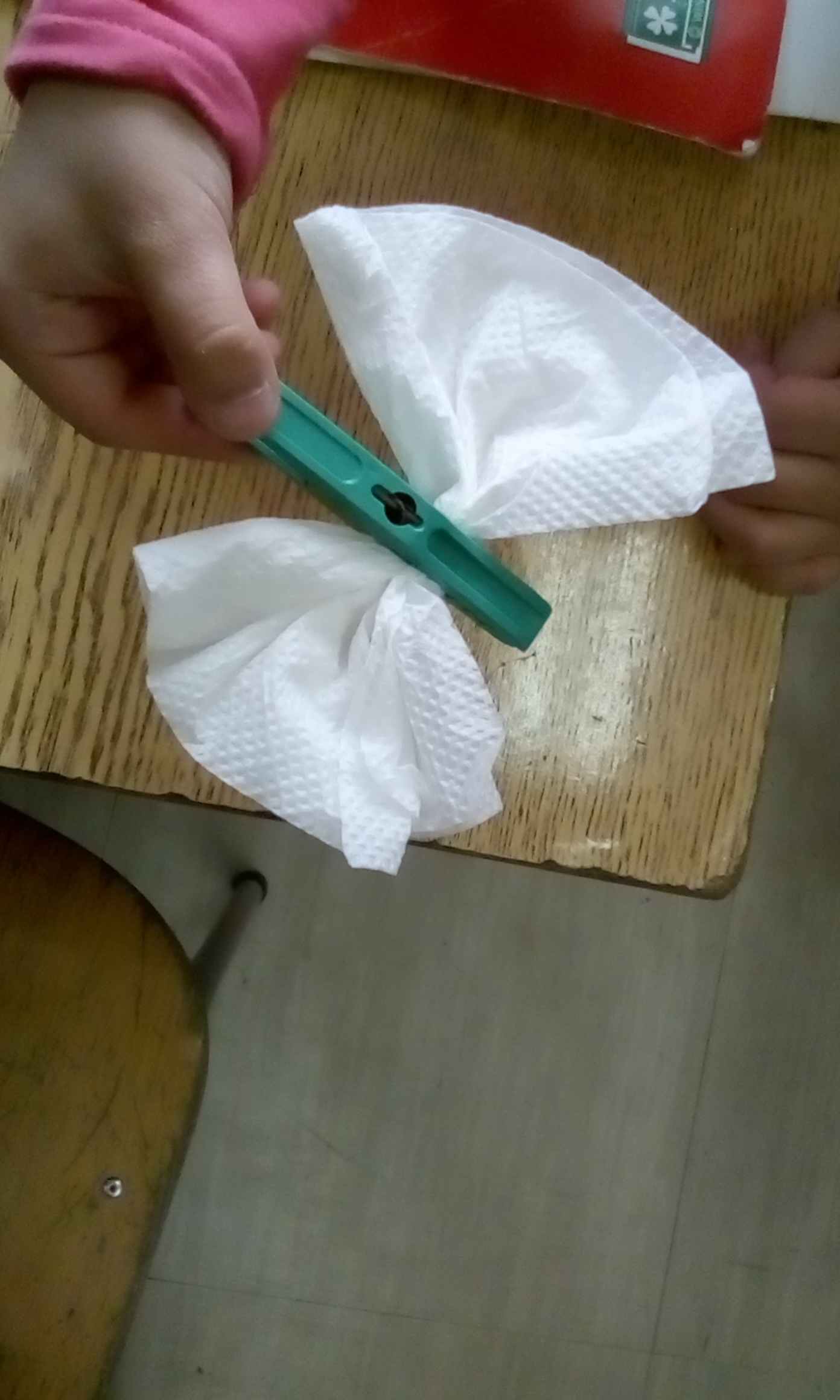 ŽIVOTNI CIKLUS LEPTIRA